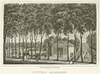 Tivoli Gardens [Print ca 1834]